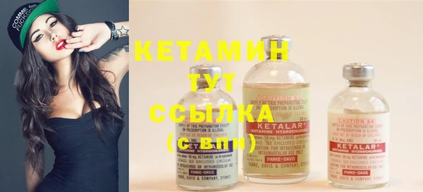 индика Корсаков