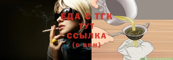индика Корсаков