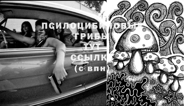 эйфоретик Костерёво