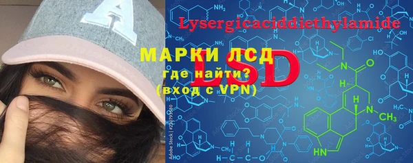 индика Корсаков