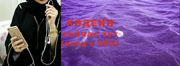 индика Корсаков