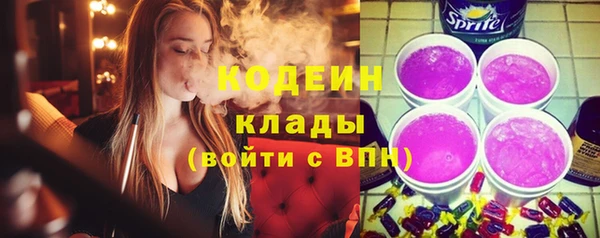 индика Корсаков