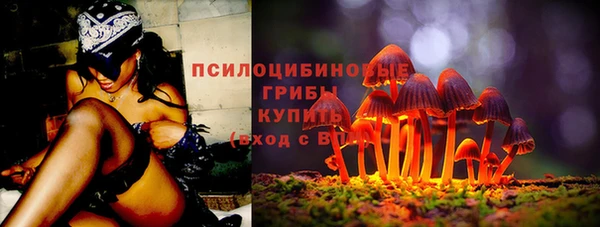 мяу мяу кристалл Коряжма
