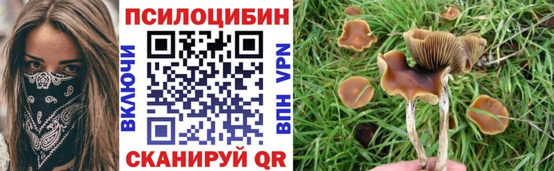 Купить  Еманжелинск  Псилоцибиновые грибы прущие грибы 